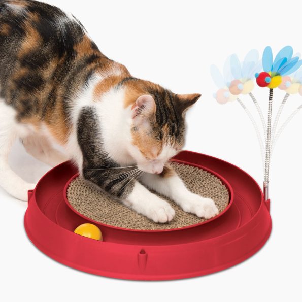 43000-Circuit-Ball-Toy-with-Scratch-Pad