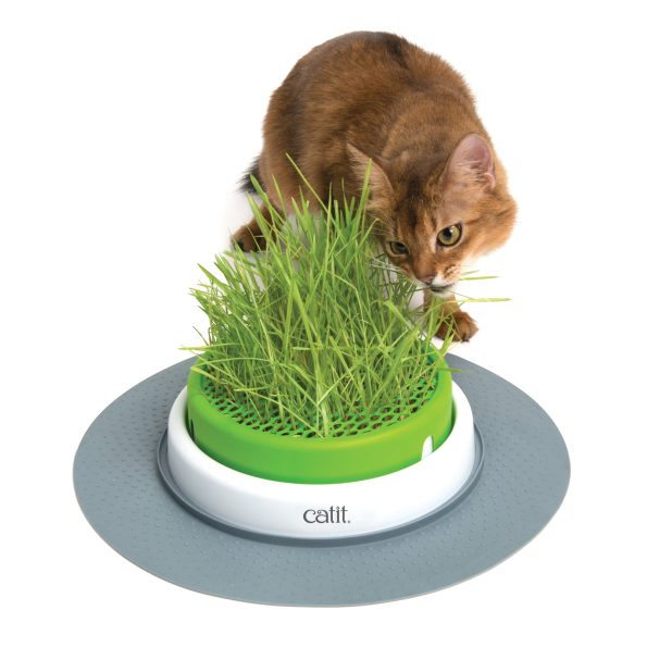 Catit-43161W-2.0SensesGrassPlanter-B-International